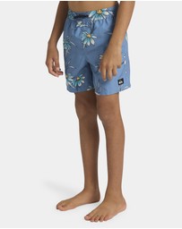 Quiksilver - Boys 8 to 16 Everyday 14
