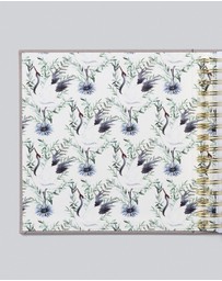 Write to Me - Bump Pregnancy Journal Boxed