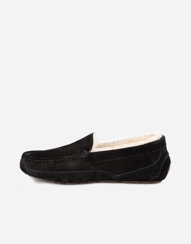 Ozwear Connection Uggs - Ugg Denver Men's Moccassin (Water Resistant)