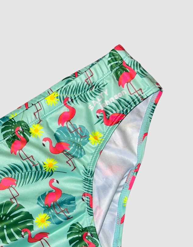 Salty Johnson - Flamingos Brief