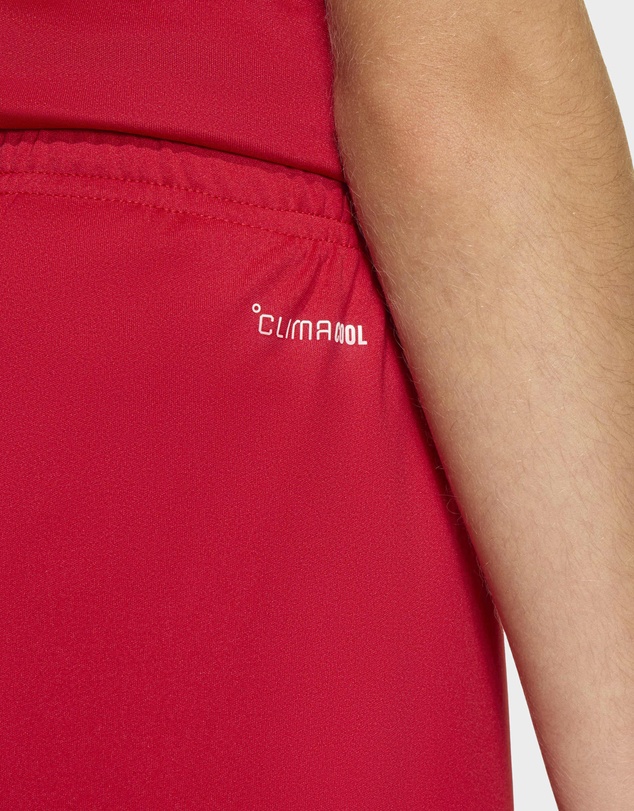 adidas Performance - Entrada26 Football Shorts Kids