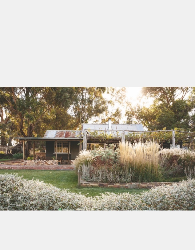 Brumby Sunstate - Wild by Design