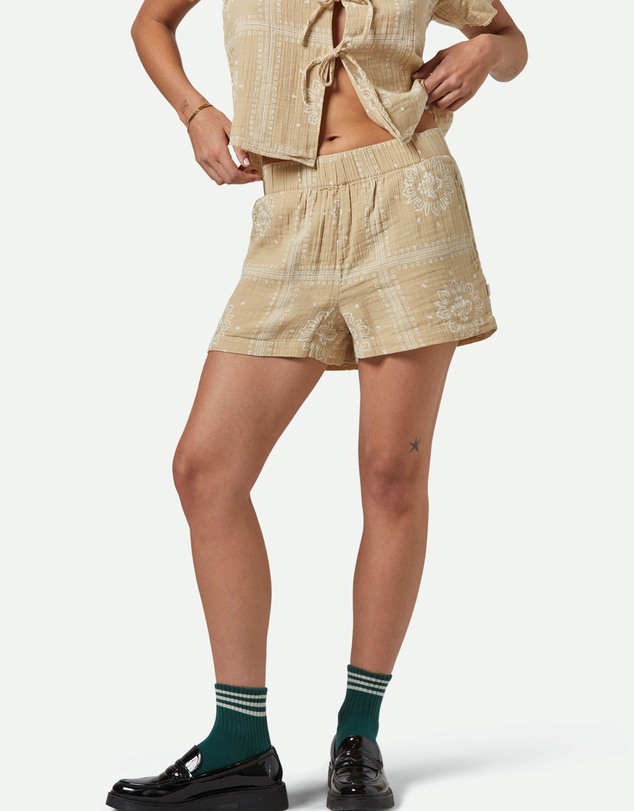 Brixton - Wandering Shorts