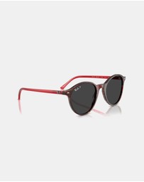 Ray-Ban - Bernard