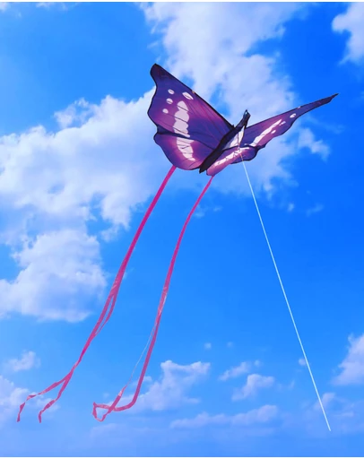 Freeplay Kids - Butterfly Kite