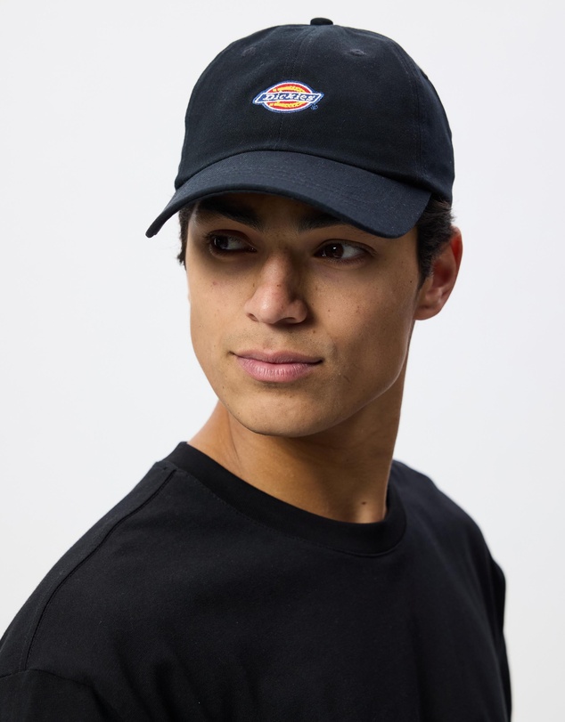 Dickies - Hardwick