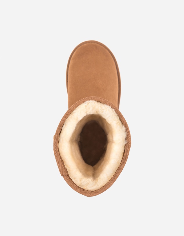 Ozwear Connection Uggs - Ugg Classic Short Boots (Water Resistant)