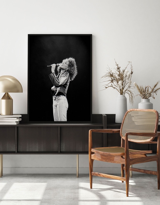 Olive et Oriel - Whitney Houston Art Print
