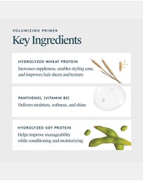 Virtue Labs - Volumizing Primer