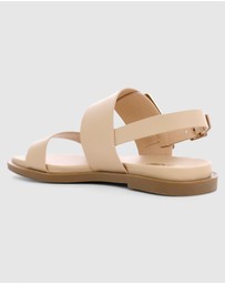 Sandler - Meadow