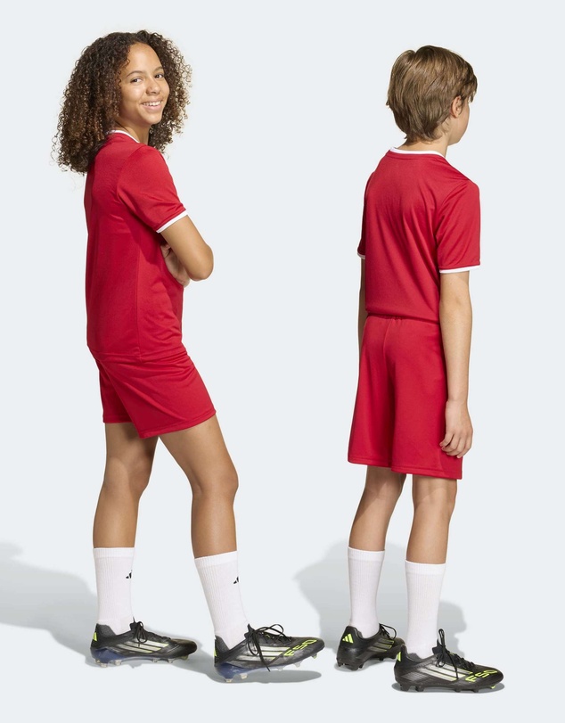 adidas Performance - Entrada26 Football Shorts Kids