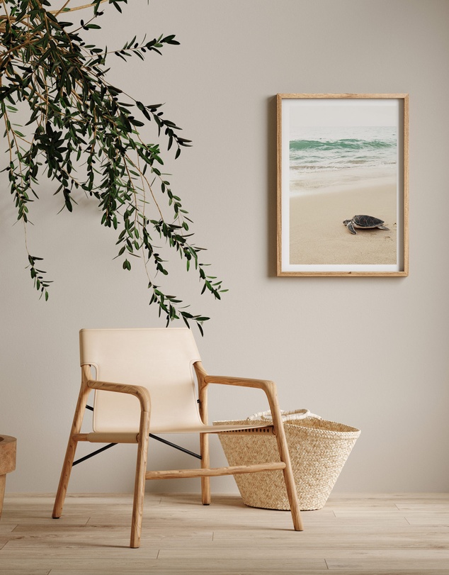 Olive et Oriel - Little Turtle II Art Print
