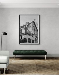 Amichi Co - Dynamic Duo Fine Art Print