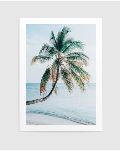Olive et Oriel - Maldivian Palm I Art Print