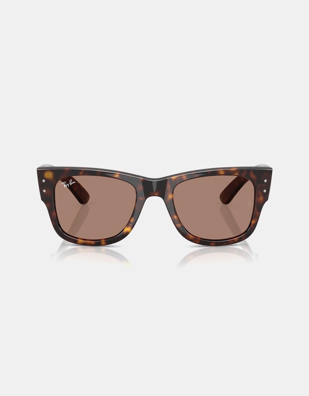Ray-Ban - RB0840S