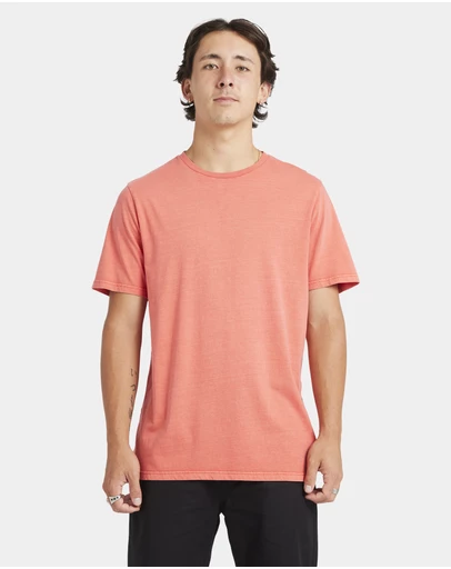 Volcom - Mens Aus Wash T-Shirt