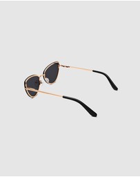 Daniel Wellington - Lynx Steel Sunglasses
