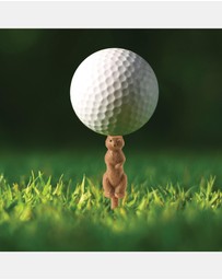 Kikkerland - Gopher The Caddy Golf Tee