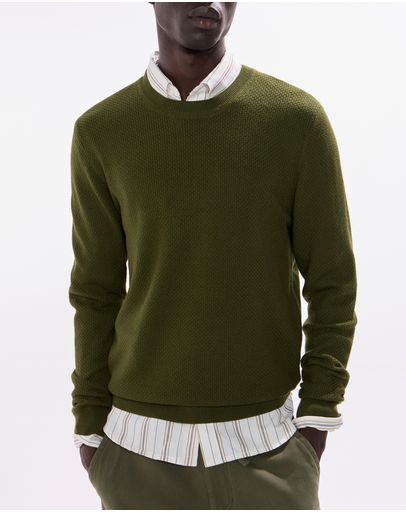 Agave Green