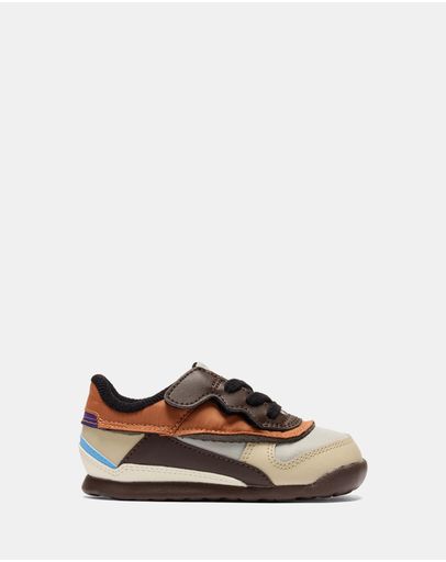 Oyster Grey/Licorice Brown