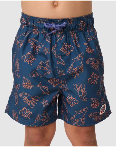 Light Navy