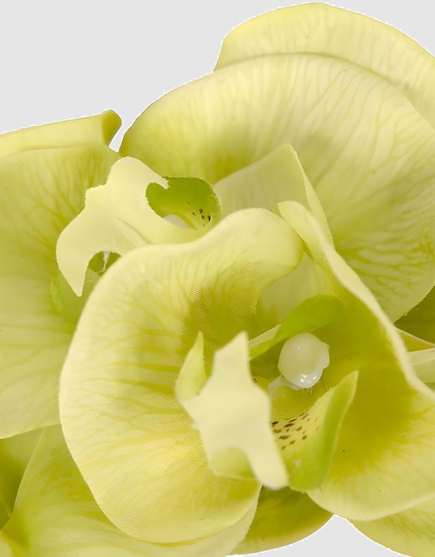 Max Alexander - Lime Orchid Racing Fascinator