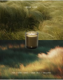 Black Blaze - Bush Walk Scented Candle