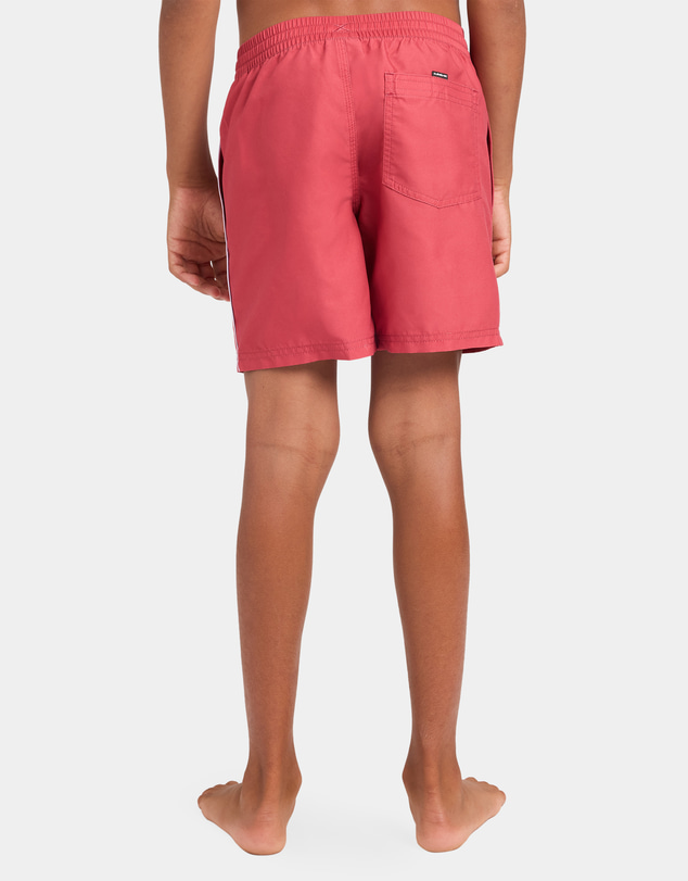 Quiksilver - Boys 8 to 16 Everyday Vert 14