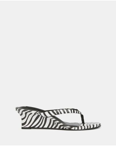 Edgy-Zebra