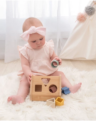 Playground - House Shape Sorter