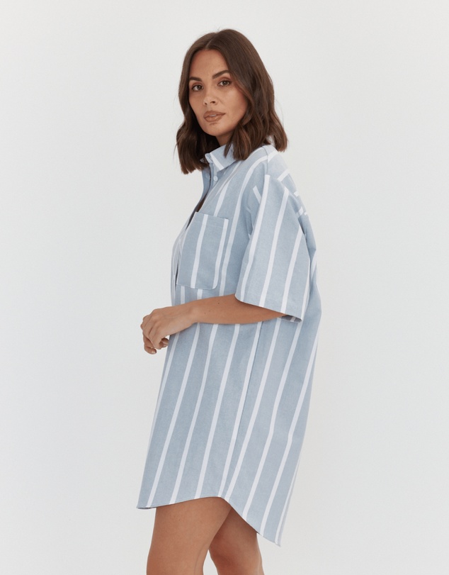 ALEXANDRA - Apex Dress Chambray Sage Stripe