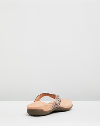 Vionic - Lucia Toe Post Sandal - Camelia Snake