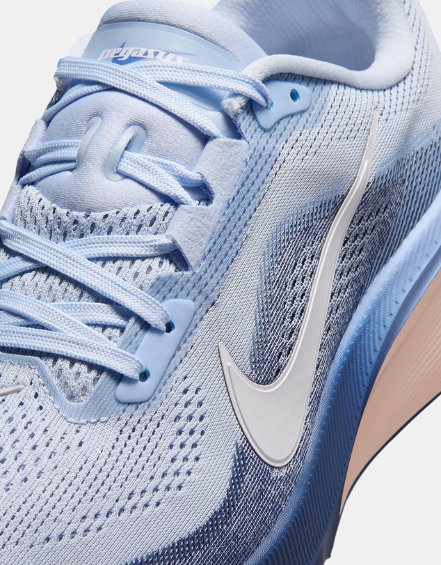Nike - Pegasus 42 - Women's