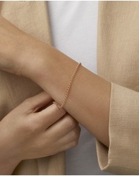 Michael Hill - 19cm Belcher Bracelet in 10ct Rose Gold