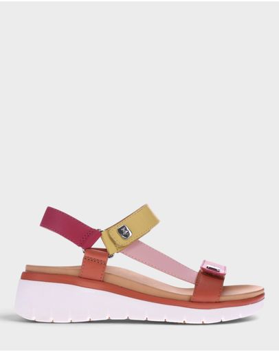 Pink Multi