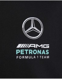 adidas Performance - MERCEDES - AMG PETRONAS FORMULA 1 TEAM DNA TEE Kids
