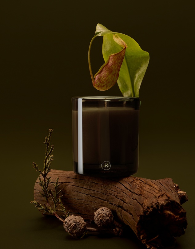 Black Blaze - Bush Walk Scented Candle