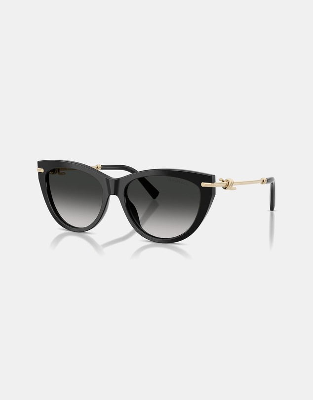 Tiffany & Co. - 0TF4253