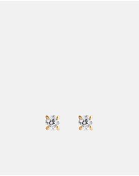 Daniel Wellington - Mirelle Solitaire Stud Earring