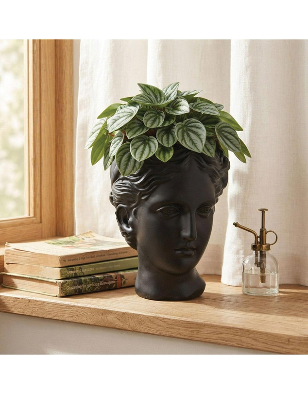 Urban Attitude - Urban Attitude Venus Head Planter - Matte Black