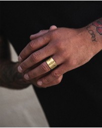 Haze & Glory - ICONIC EXCLUSIVE - Ring Band Feel Alive in 925 Silver gold plated