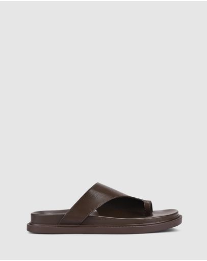 Chocolate Brown