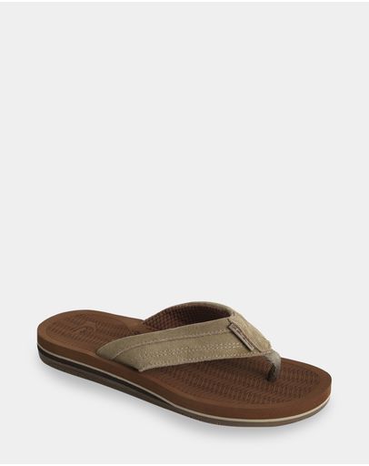 TAN