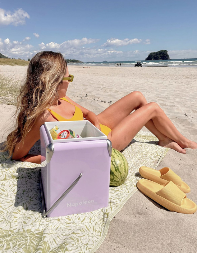 Napoleon Goods - Mini Cooler