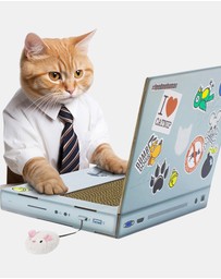 Suck UK - Cat Playhouse Scratch Laptop