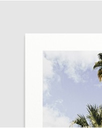 Olive et Oriel - Palm Springs Streets Art Print