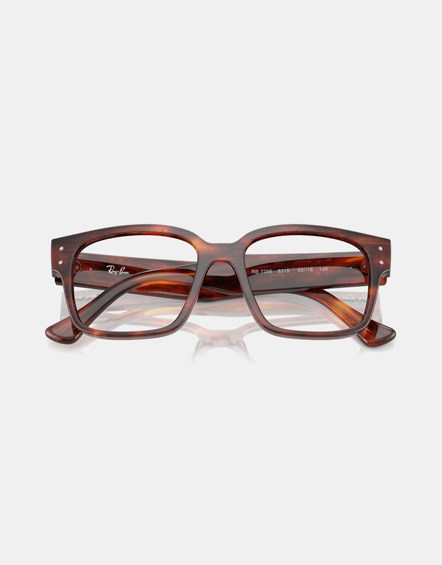 Ray-Ban Optical - Evolution