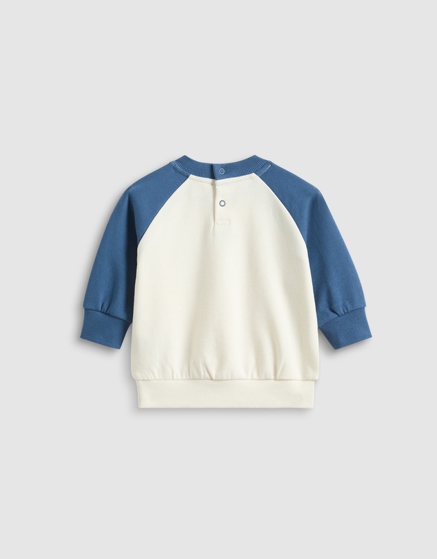 Seed Heritage - Core Colourblock Sweat