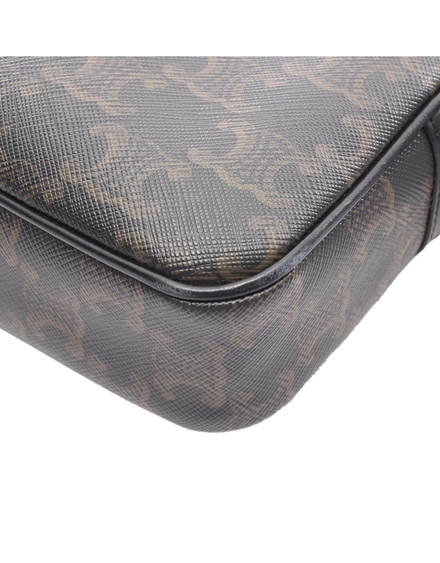 Pre-Loved by Azura Reborn - Pre-Loved Medium Triomphe Camera Bag