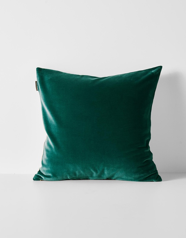 Aura Home - Velvet Cushion 50cm x 50cm